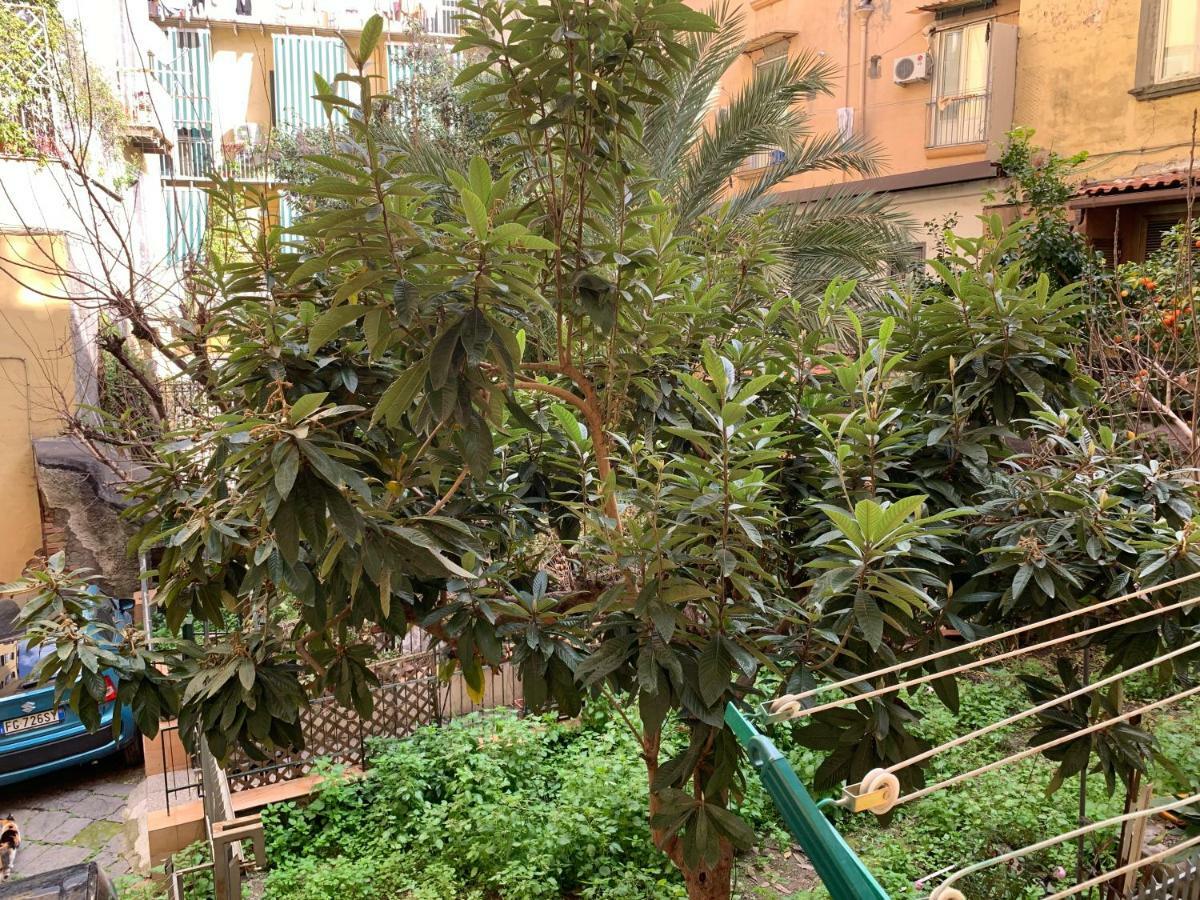 Da Ninetta Resterete Senza Parole, Garantito! Napoli Bagian luar foto